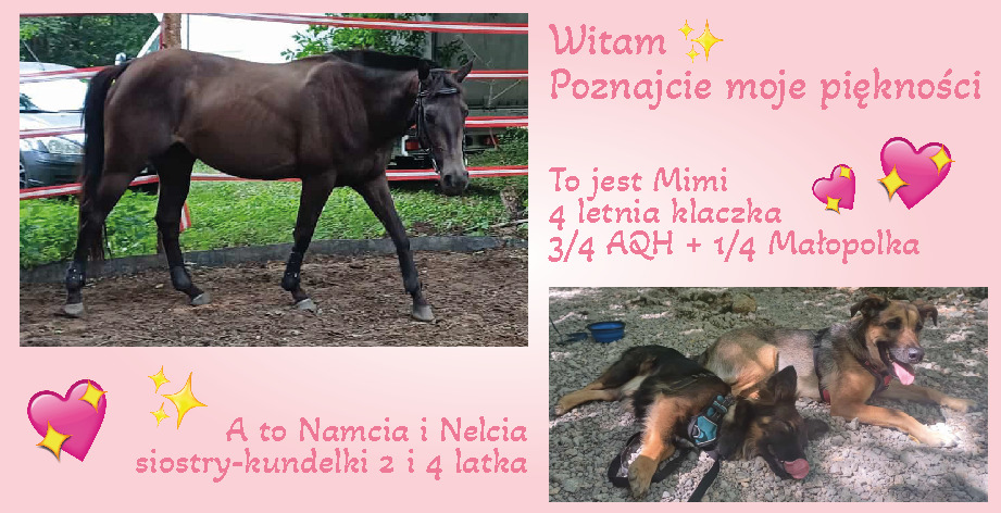 thumb_show.php?i=cdk5v3pccd&view&v=1&PHPSESSID=33e7ec6ef7364d3b6a9f5bfcf0278d508c694bbe&version=2